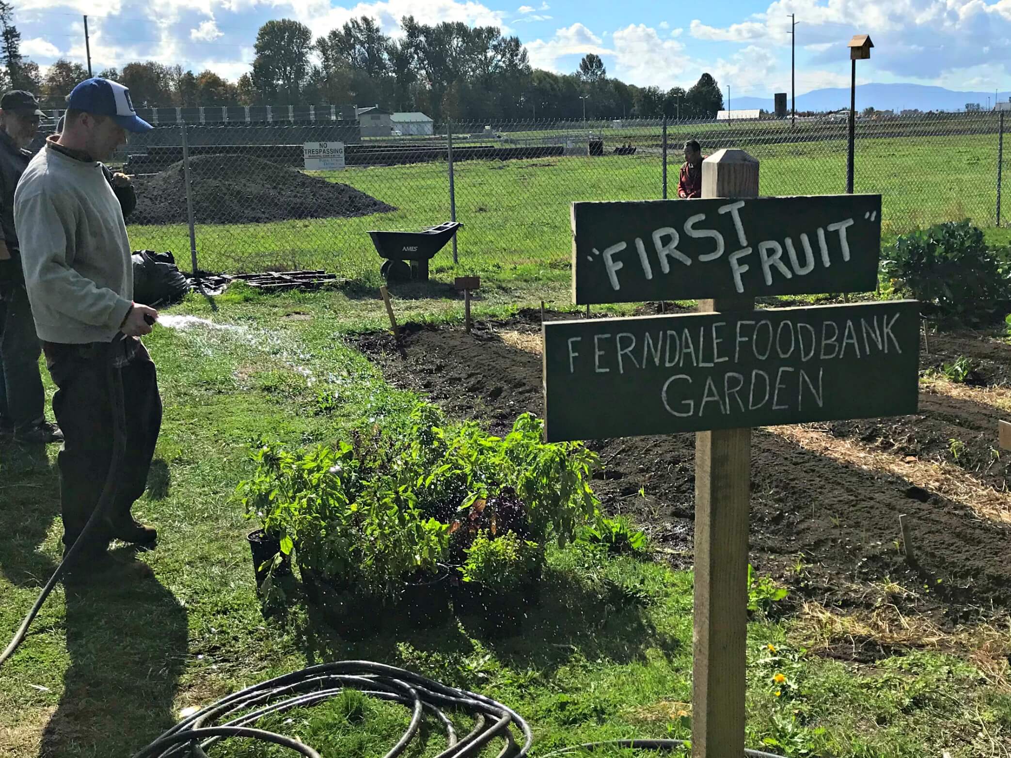 Ferndale Community Garden
