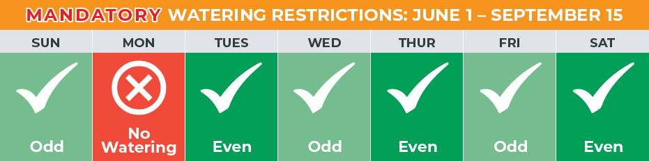 Screenshot 2025-07-10 104443