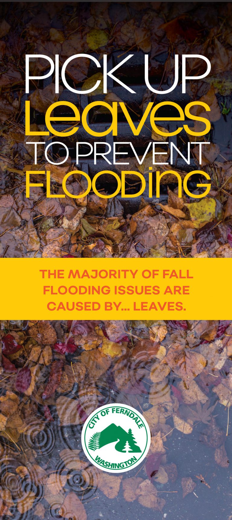 Pick Up Leaves to Prevent Flooding City of Ferndale