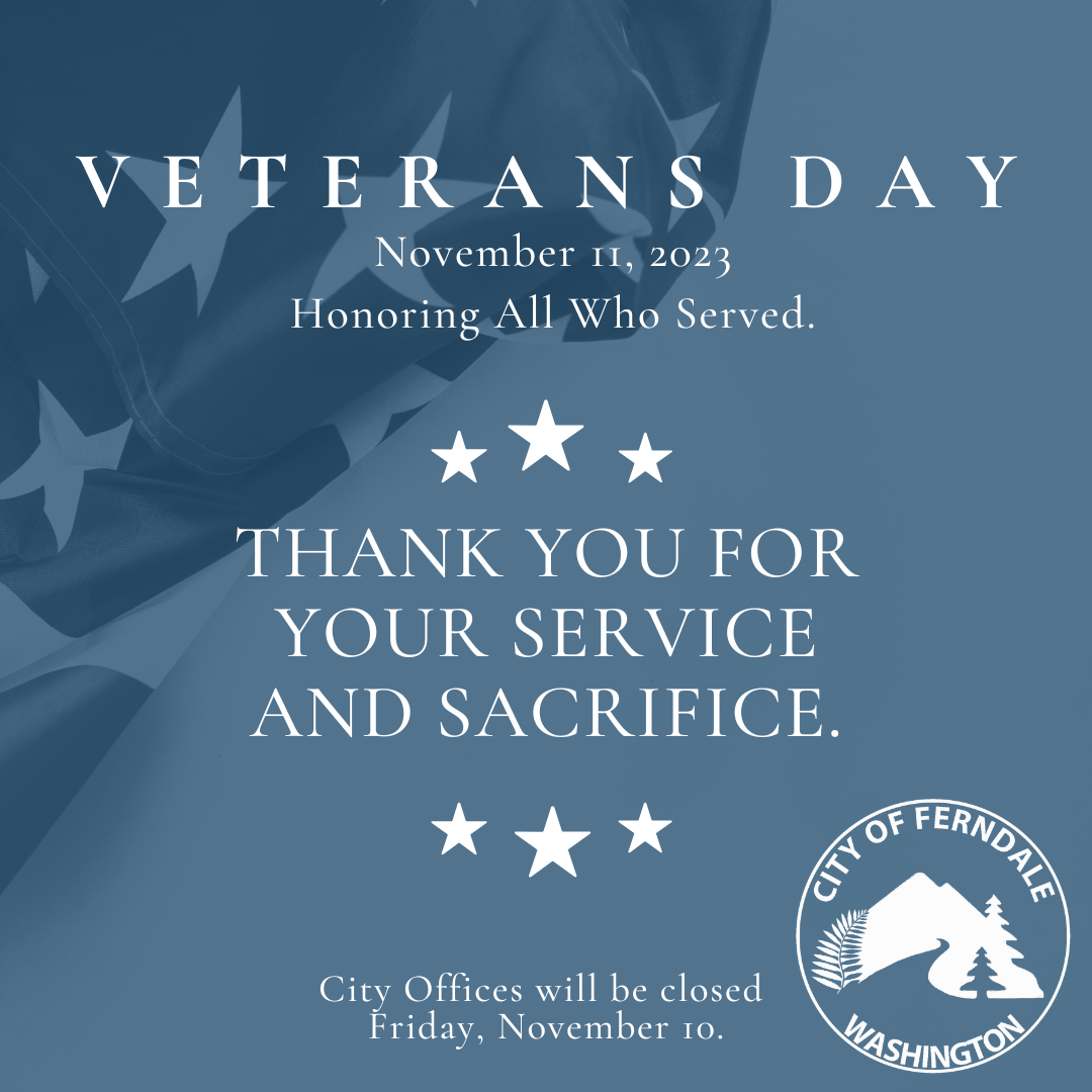 Veterans day closings nyc 2024
